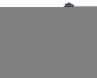0007044_glock-g17-gen-5-co2-6mm-black