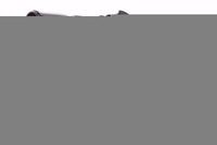 0007364_umarex-synergis-elite-177